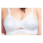 Feelingo Dew Bra the lions discount hub canteen