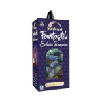 Sunfeast Fantastik Edairs Treasures the lions discount hub canteen