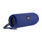 Zebronics portable BT speaker Action the lions discount hub canteen