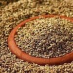 AJWAIN 100GM PACK The Lions Discount Hub Canteen