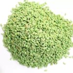 SAUNF 100GM PACK The Lions Discount Hub Canteen